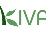 Kiva Loans