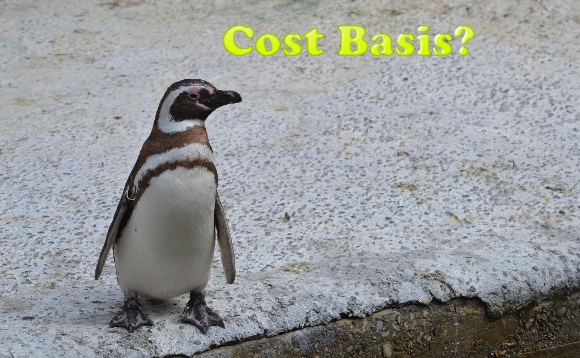 What is Cost Basis?